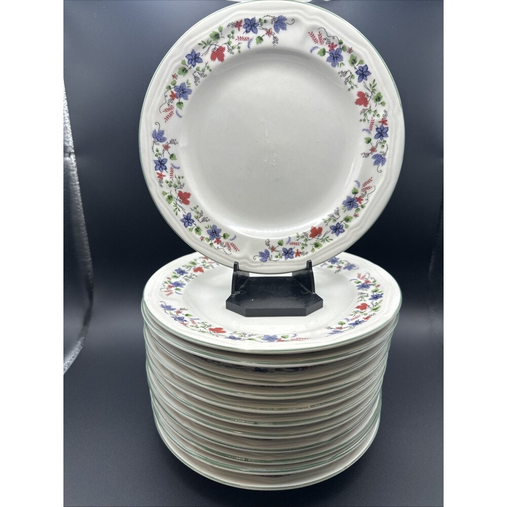 12 Totally Today Salad Plates 422808 Blue Red Flower Trim TTOTTO30 Green Rim